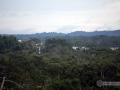 IMG_1840-VIEW-KAROK-TREE-300FT